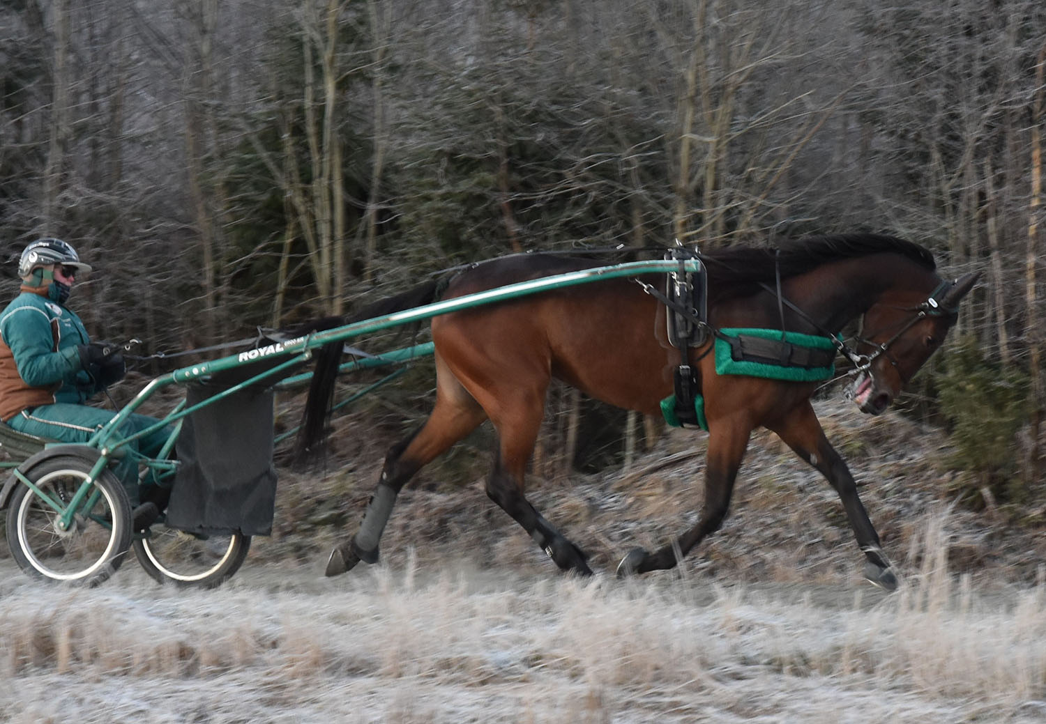 GBG Postponed 241210-13